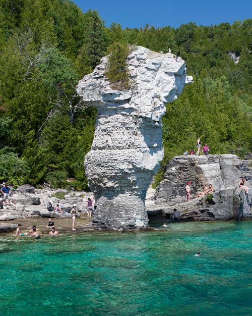 Flowerpot Island Glass Bottom Tour